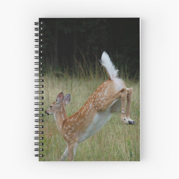 Artikelvorschau, White-Tailed Fawn entworfen und verkauft von Anne Smyth.
