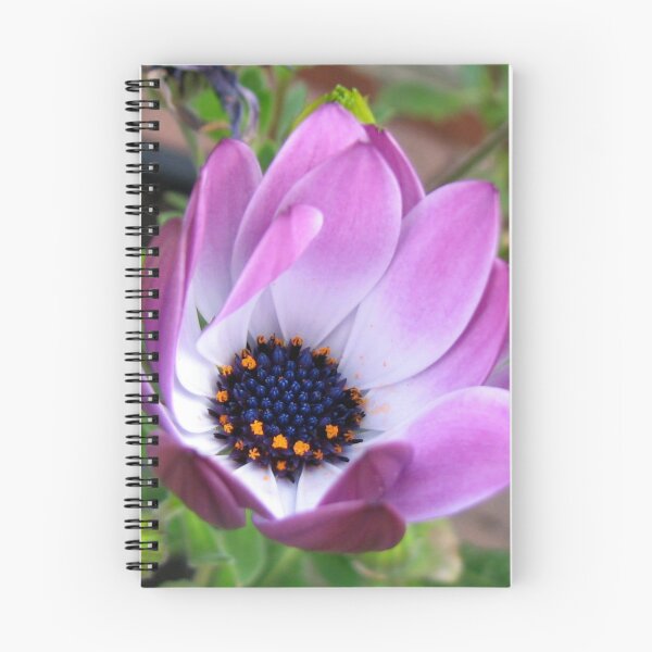 Item preview, Flower Rejoicing designed and sold by Kathryn Jones.