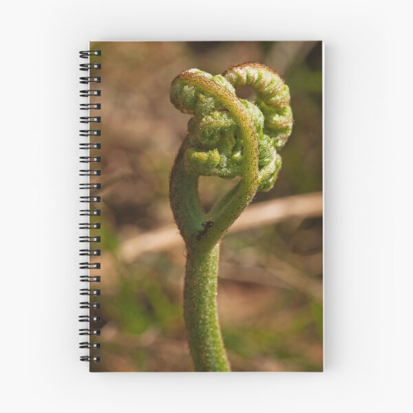 Item preview, Sunlit Fern designed and sold by kernuak.