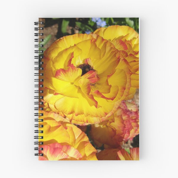 Aperçu de l'œuvre The Vivid Ranunculus ~ créée et vendue par Patty Lewis.