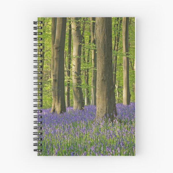 Item preview, Bluebells designed and sold by Andrew Doggett.