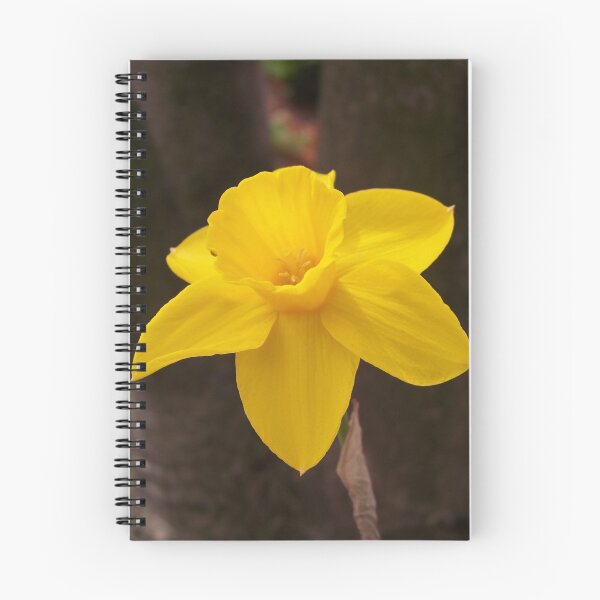 Item preview, Daffodil designed and sold by Dandelion Dilluvio.