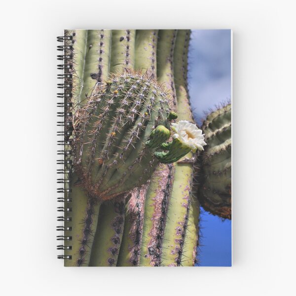 Artikelvorschau, Saguaro Cactus Blossom entworfen und verkauft von Barbara Manis.