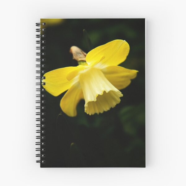 Item preview, Daffodil designed and sold by Olga Zvereva.