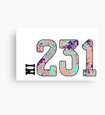 231 Canvas Print