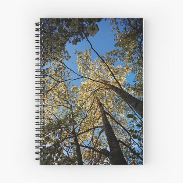 Item preview, dogwoods designed and sold by Bill vander Sluys.