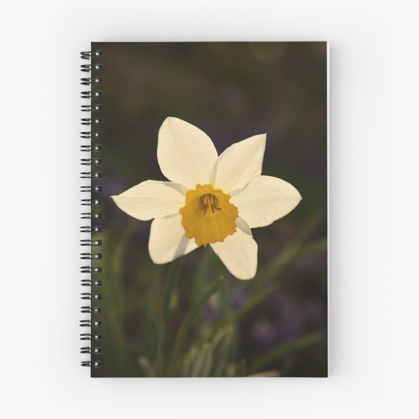 Item preview, Sunny Daffodil designed and sold by Olga Zvereva.