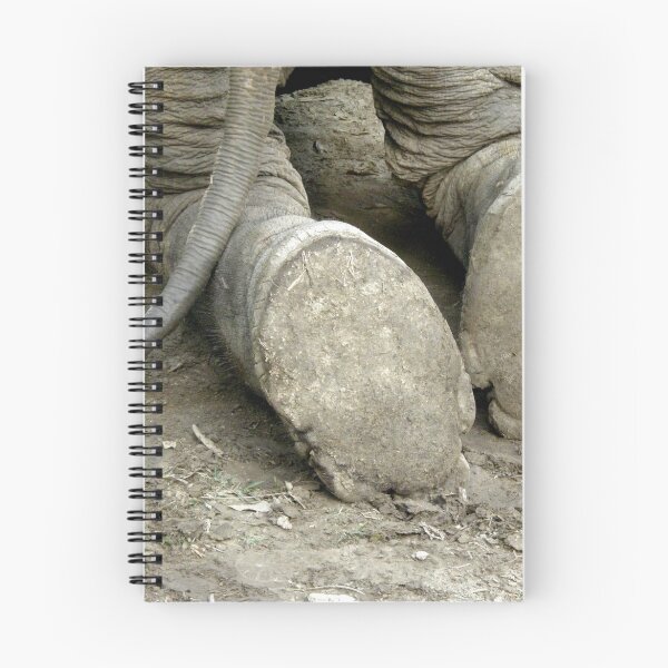 Item preview, Are They Ticklish? designed and sold by Patty Lewis.