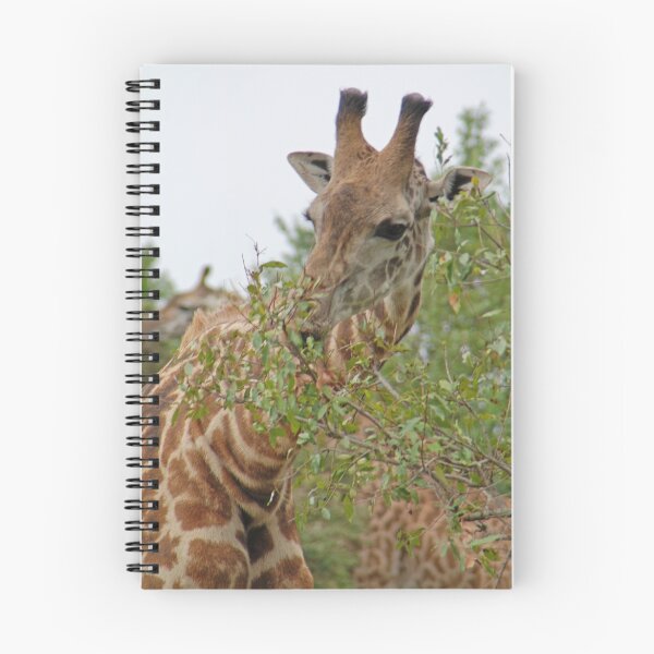 Item preview, Just a little snack, Arusha National Park, Tanzania, Africa designed and sold by Adrian Paul.