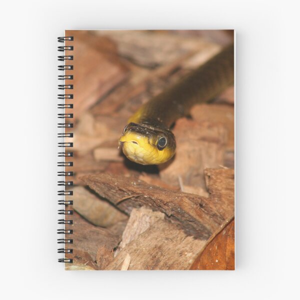 Item preview, Snake without a tree designed and sold by Norman Mueller.