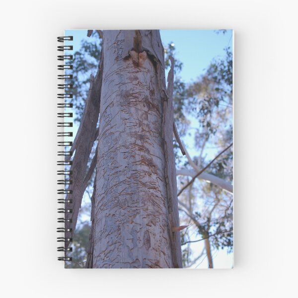 Item preview, Where the grubs and birds have been designed and sold by leanimal.