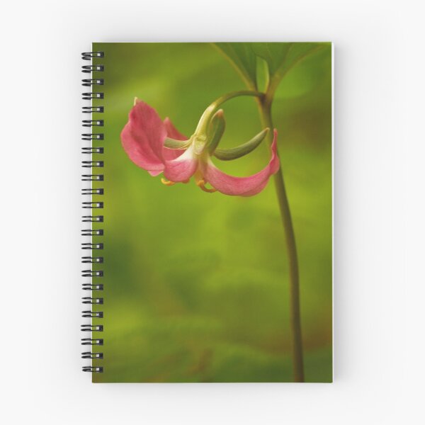 Item preview, Hot Pink Trillium designed and sold by Richard G Witham.