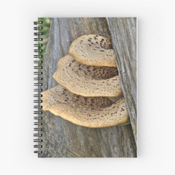 Item preview, Bracket Fungus designed and sold by Jeff VanDyke.