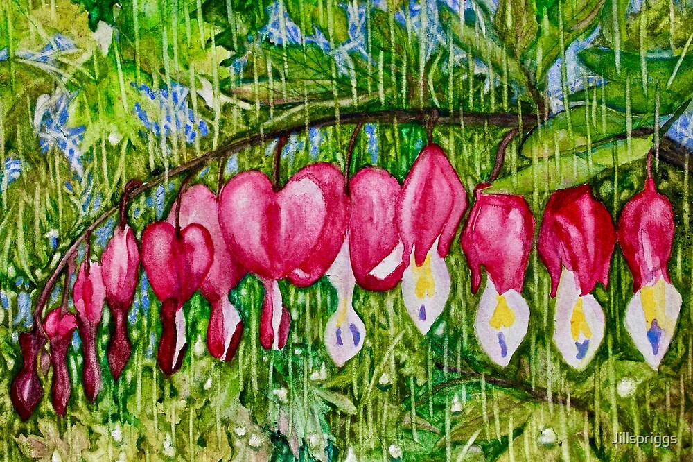 Bleeding Heart Flower Painting | Flowers Lover