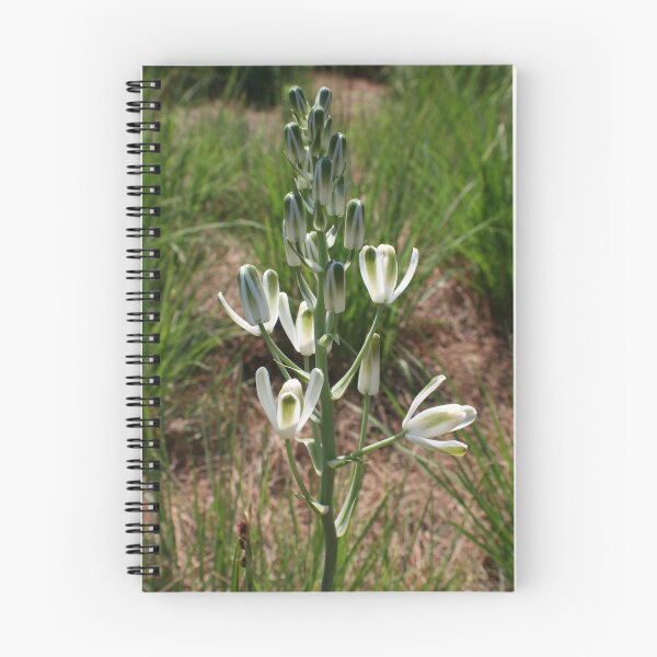 Item preview, Springtime Fun designed and sold by Dana Yoachum.
