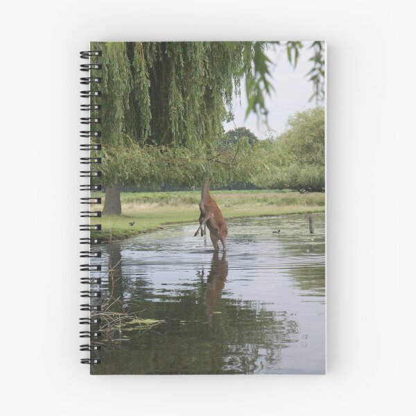 Item preview, Deer feeding in Lake designed and sold by Ben Warren.