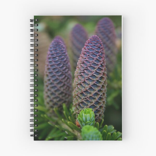 Item preview, Cones designed and sold by AnthonyThomas.