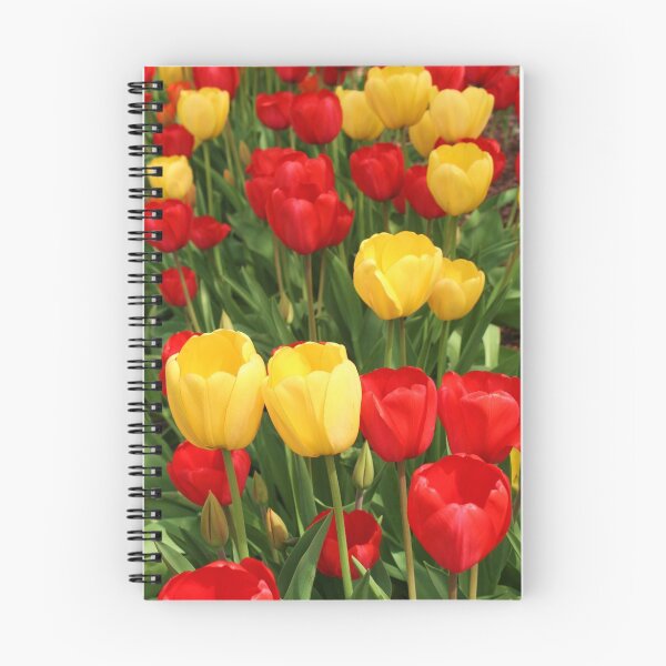 Item preview, Field of Tulips designed and sold by alina98.