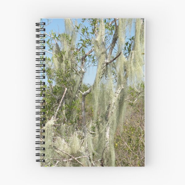 Item preview, Unusual Liken designed and sold by Rosalie Scanlon.