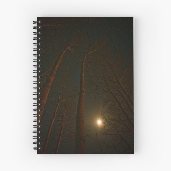 Item preview, I look to the stars designed and sold by Jena Alexander.