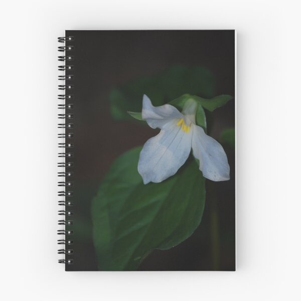 Item preview, Trillium Grandiflorum designed and sold by Victoria Jostes.