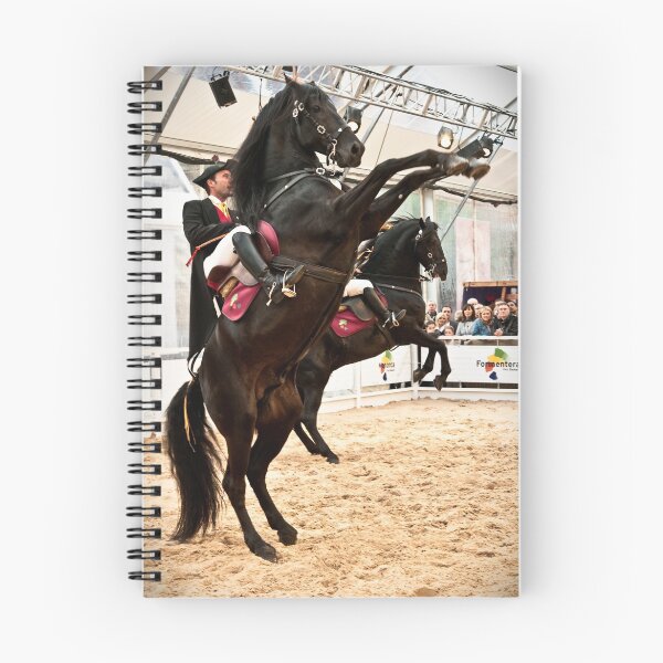 Item preview, Menorcan dressage - Spanish step designed and sold by Cvail73.