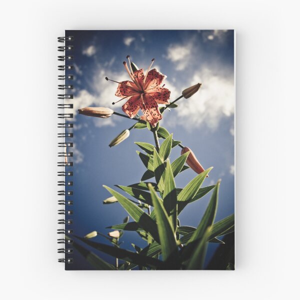 Item preview, Beautiful Day designed and sold by Daniel Rens.