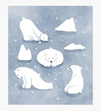 patterns Everyday | Yoga Bears Photographic Print