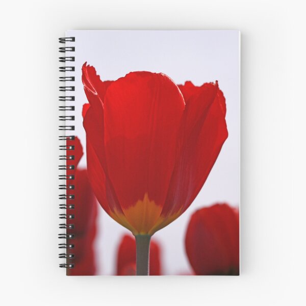 Item preview, Red Tulip designed and sold by BigD.