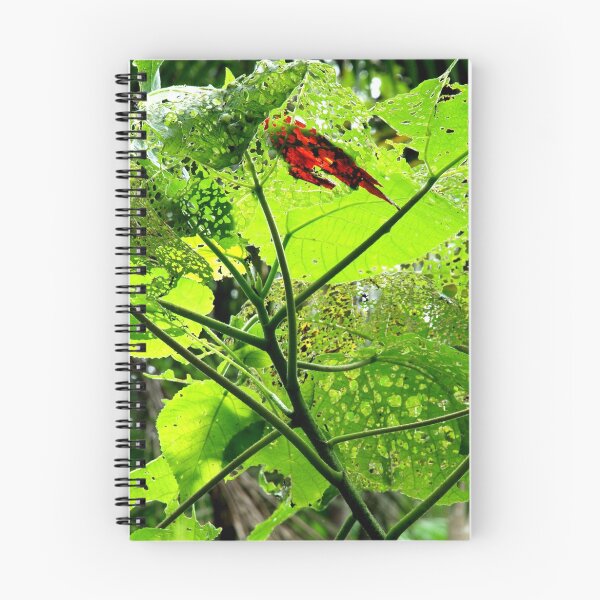 Aperçu de l'œuvre Red bark on green leaf créée et vendue par Lauri7.