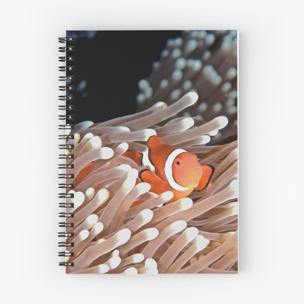 Item preview, Anemonefish designed and sold by Melissa Chinn.