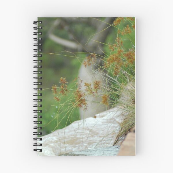 Item preview, Boab tree designed and sold by Natika.