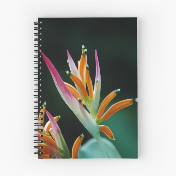 Item preview, Bird of Paradise designed and sold by Natika.