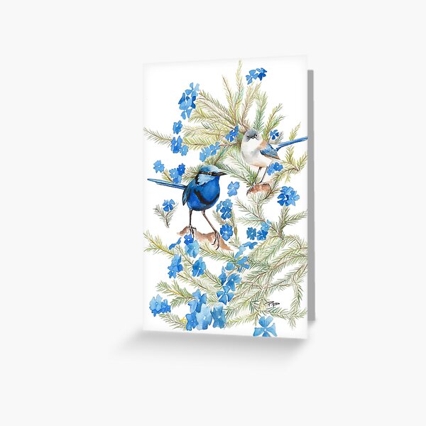 Splendid Wren & Leschenaultia Greeting Card