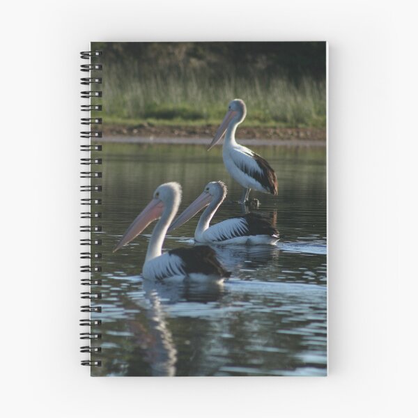 Item preview, Pelican Peace designed and sold by Paula Bone.
