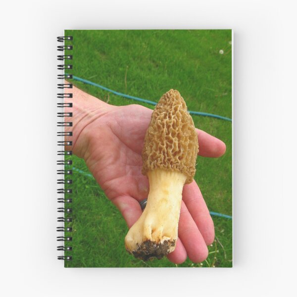 Item preview, Big Beautiful Morel designed and sold by CynLynn.