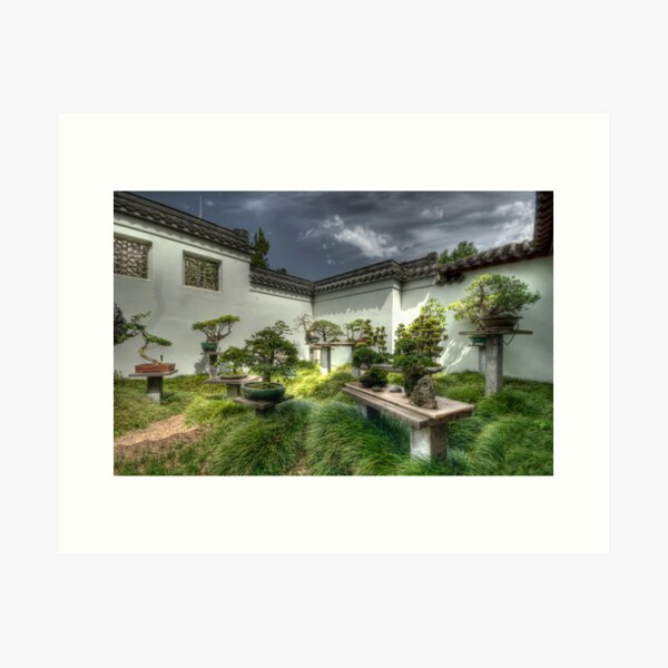 Bonsais - Chinese Garden - Sydney Art Print