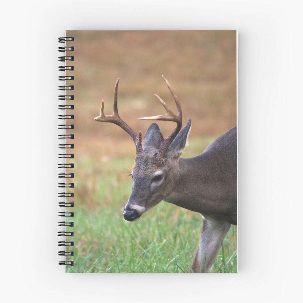 Item preview, Spiral Notebook designed and sold by Walton.