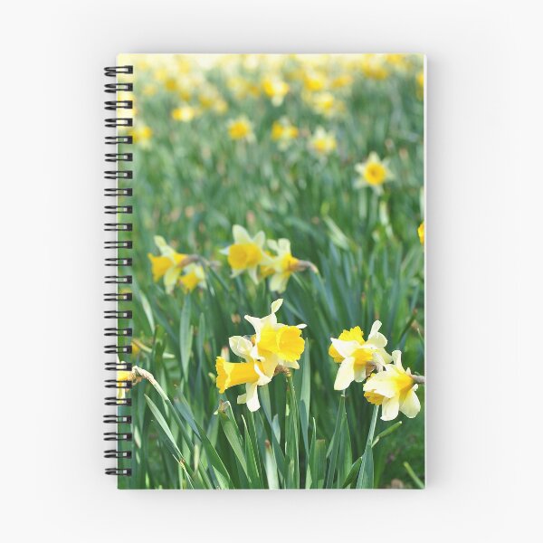 Artikelvorschau, Daffodils entworfen und verkauft von Grant  Muirhead.
