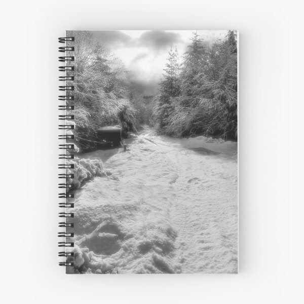 Artikelvorschau, a winter drive entworfen und verkauft von VickiOBrien.