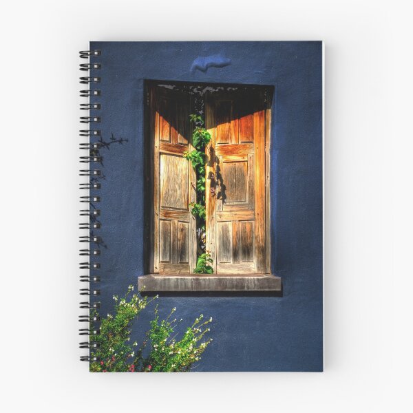 Item preview, A Window On Tucson designed and sold by Lois  Bryan.