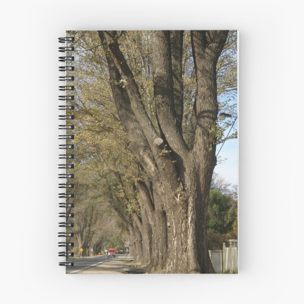 Item preview, blissful trees designed and sold by Nurgen ~~.