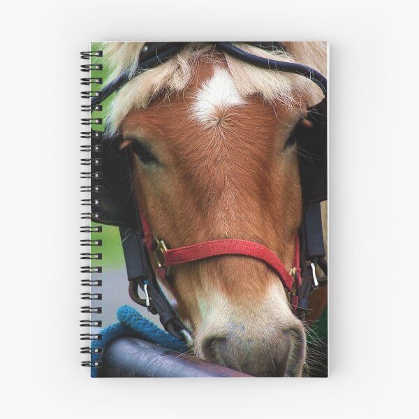 Item preview, The Face of a Horse designed and sold by Cheri Perry.