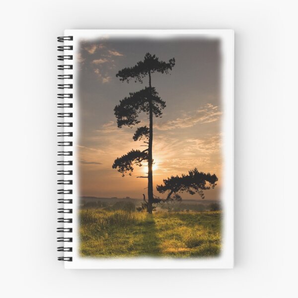 Item preview, Sunset Shadows designed and sold by CJTill.