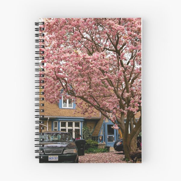 Item preview, Magnolia's in the CITY... designed and sold by Larry Llewellyn.