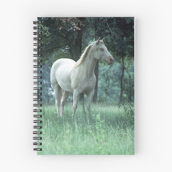 Item preview, Big White Stallion designed and sold by WTBird.