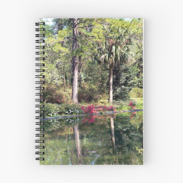 Item preview, Reflections of McClay Gardens designed and sold by WTBird.