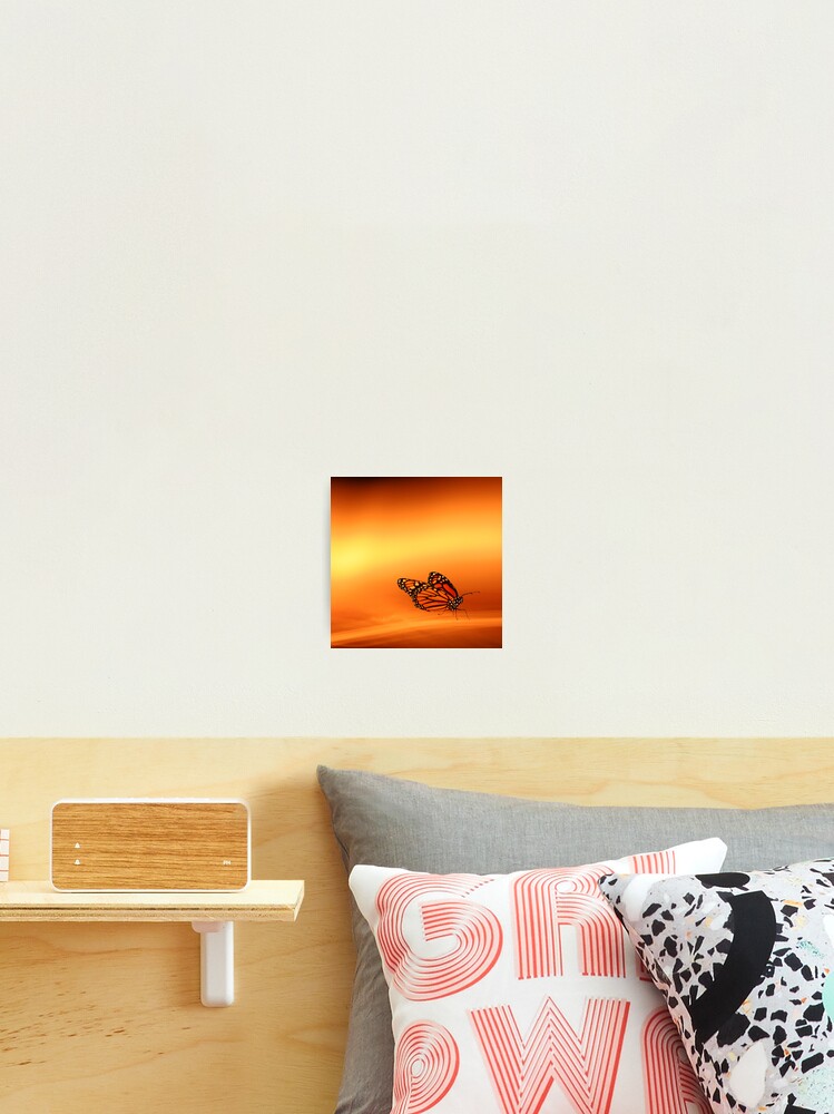 Thumbnail 2 of 3, Photographic Print, Tranquility designed and sold by Rodergrams.