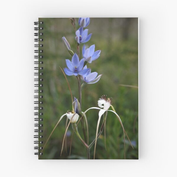 Item preview, Orchid Splendour designed and sold by Paula Bone.