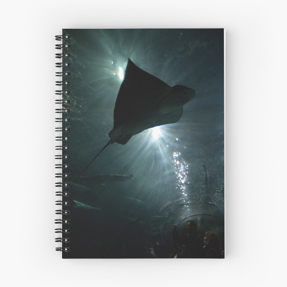 Item preview, Spiral Notebook designed and sold by JandMPhoto.